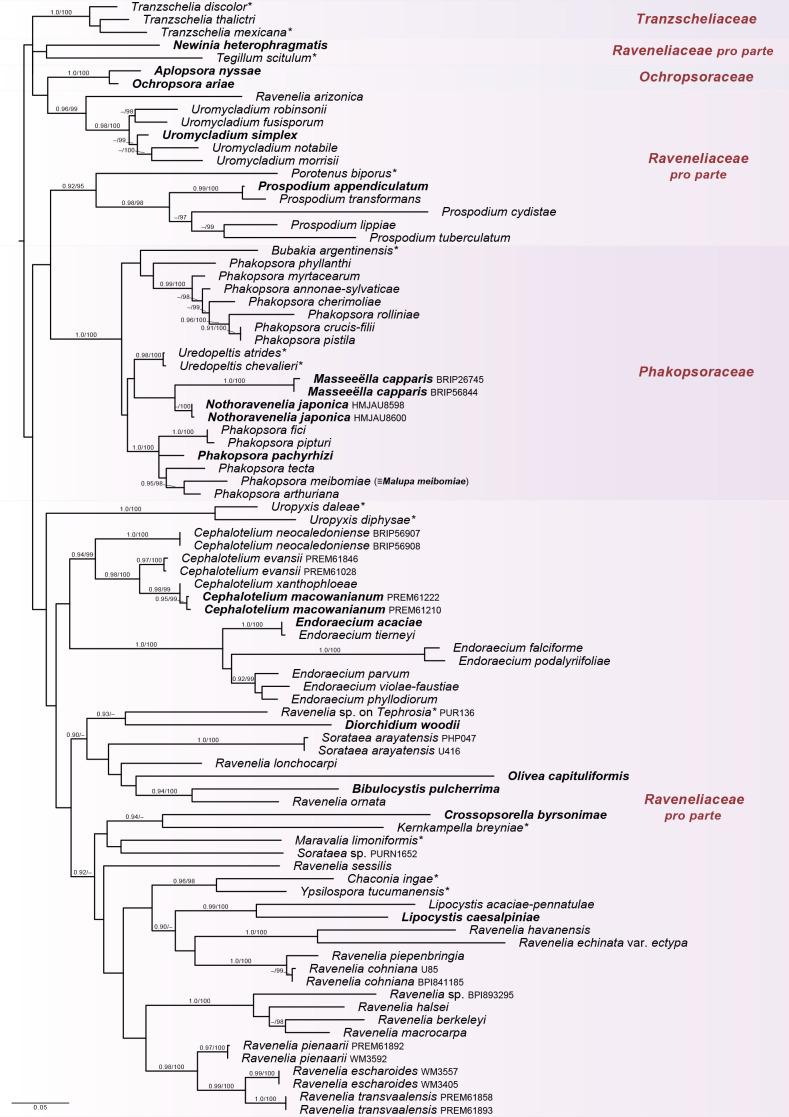 https://cdn.ncbi.nlm.nih.gov/pmc/blobs/f835/8165960/82d51fd08588/fuse-2021-7-2-g003.jpg