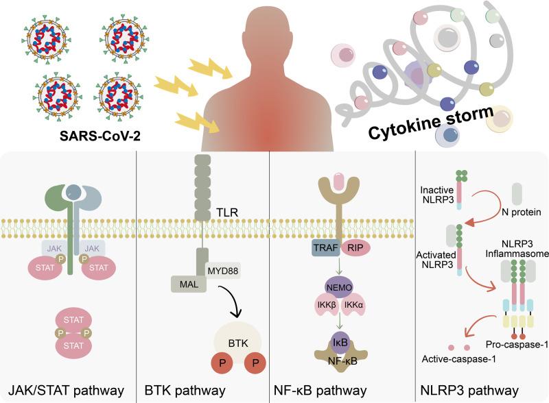 https://cdn.ncbi.nlm.nih.gov/pmc/blobs/f835/9719906/27a18c3b1b3a/41392_2022_1249_Fig7_HTML.jpg