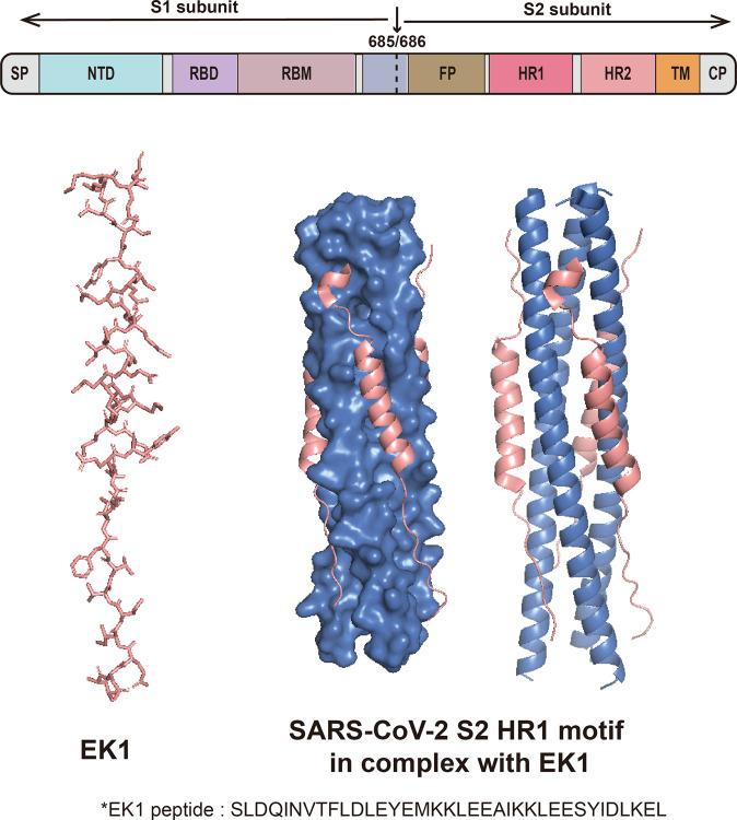 https://cdn.ncbi.nlm.nih.gov/pmc/blobs/f835/9719906/5c361087d7a8/41392_2022_1249_Fig6_HTML.jpg