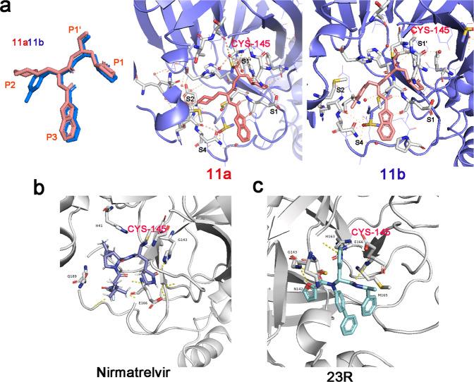 https://cdn.ncbi.nlm.nih.gov/pmc/blobs/f835/9719906/732d18555d3b/41392_2022_1249_Fig4_HTML.jpg