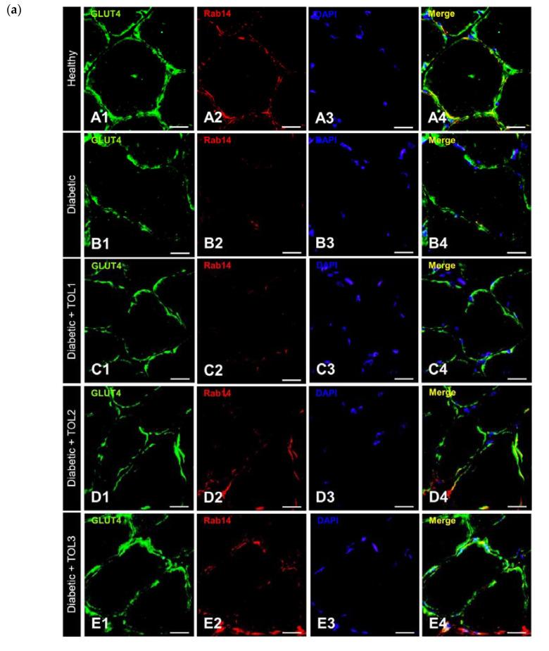 https://cdn.ncbi.nlm.nih.gov/pmc/blobs/f836/7729747/98eb32bd26e3/ijms-21-08981-g006a.jpg