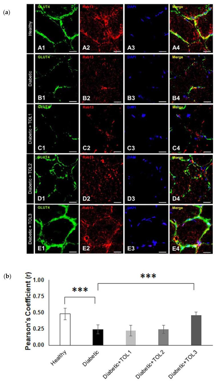 https://cdn.ncbi.nlm.nih.gov/pmc/blobs/f836/7729747/99987a930283/ijms-21-08981-g005.jpg
