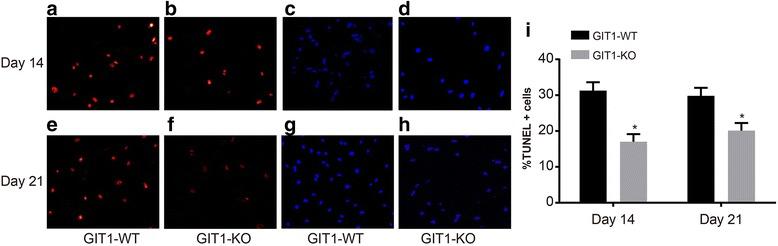 https://cdn.ncbi.nlm.nih.gov/pmc/blobs/f838/5534123/ddc1076b2edc/12891_2017_1653_Fig6_HTML.jpg
