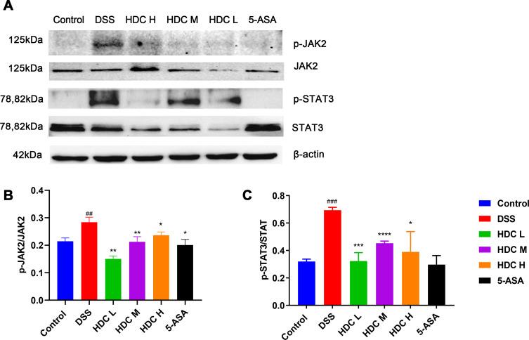 https://cdn.ncbi.nlm.nih.gov/pmc/blobs/f839/8519793/17e6748d2302/DDDT-15-4259-g0009.jpg