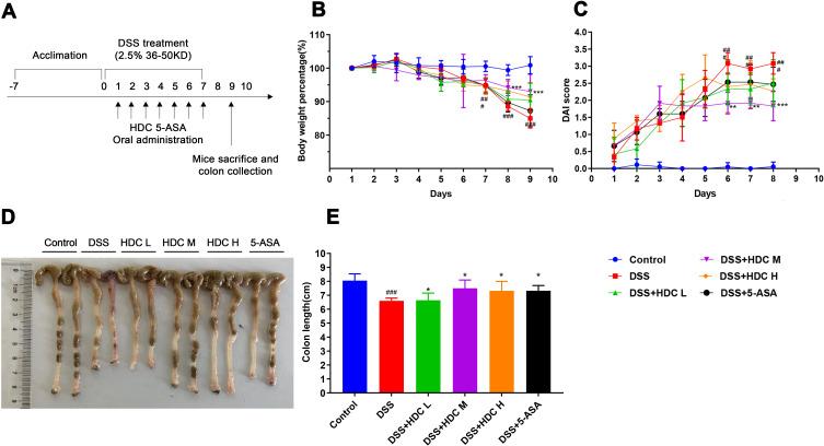 https://cdn.ncbi.nlm.nih.gov/pmc/blobs/f839/8519793/3481886886aa/DDDT-15-4259-g0002.jpg