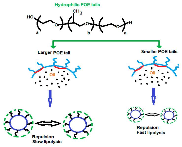 https://cdn.ncbi.nlm.nih.gov/pmc/blobs/f83c/9788371/5d92e0fdb4c2/polymers-14-05445-g001.jpg