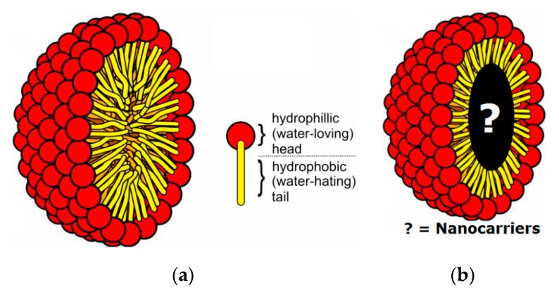 https://cdn.ncbi.nlm.nih.gov/pmc/blobs/f83c/9788371/e99e78e27b0e/polymers-14-05445-g006.jpg