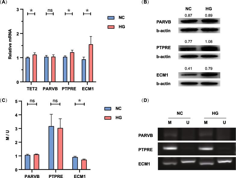 https://cdn.ncbi.nlm.nih.gov/pmc/blobs/f841/10765922/e14f52653159/13148_2023_1619_Fig3_HTML.jpg