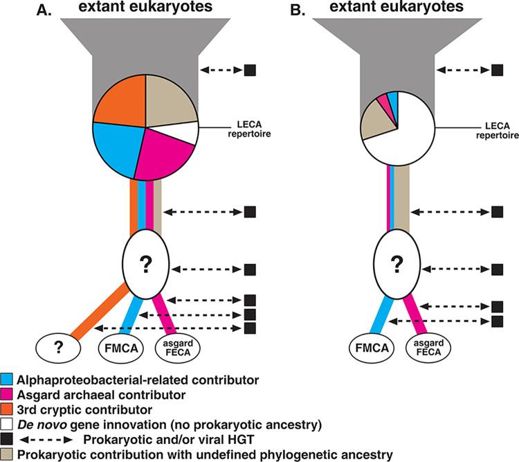 https://cdn.ncbi.nlm.nih.gov/pmc/blobs/f844/11627563/026f765840f5/pbio.3002917.g001.jpg