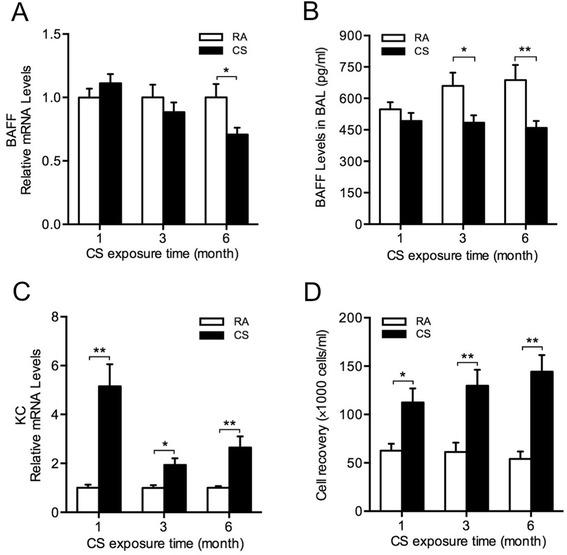https://cdn.ncbi.nlm.nih.gov/pmc/blobs/f845/4364338/7c7c76d5f161/12931_2015_201_Fig1_HTML.jpg