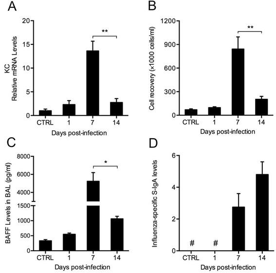 https://cdn.ncbi.nlm.nih.gov/pmc/blobs/f845/4364338/a65a532c0c4e/12931_2015_201_Fig2_HTML.jpg