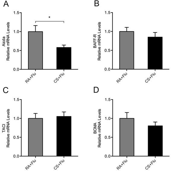 https://cdn.ncbi.nlm.nih.gov/pmc/blobs/f845/4364338/c72a5c22a497/12931_2015_201_Fig6_HTML.jpg