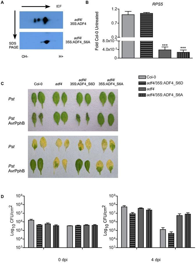 https://cdn.ncbi.nlm.nih.gov/pmc/blobs/f846/3493479/c16c0e1d4907/ppat.1003006.g004.jpg