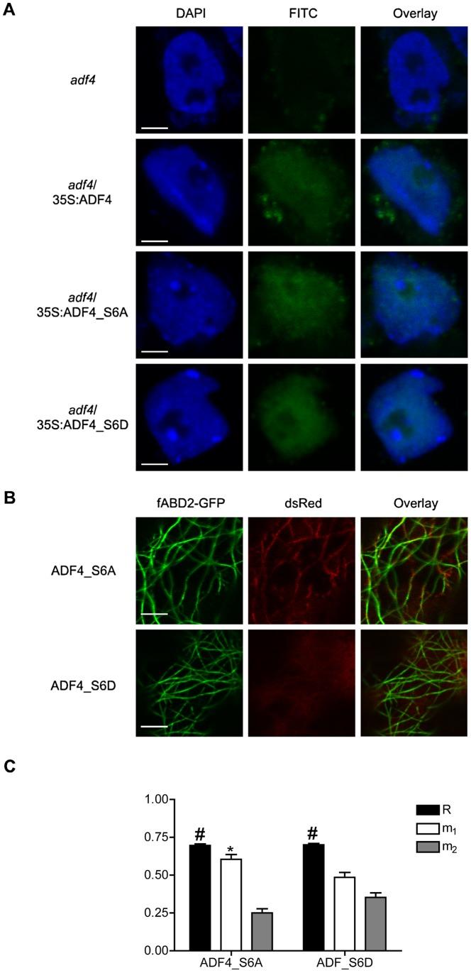 https://cdn.ncbi.nlm.nih.gov/pmc/blobs/f846/3493479/c819199f9022/ppat.1003006.g005.jpg