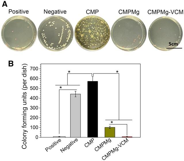 https://cdn.ncbi.nlm.nih.gov/pmc/blobs/f848/11196881/6751978da474/rbae049f9.jpg