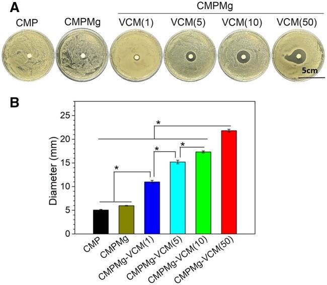 https://cdn.ncbi.nlm.nih.gov/pmc/blobs/f848/11196881/9c1e1151837f/rbae049f5.jpg