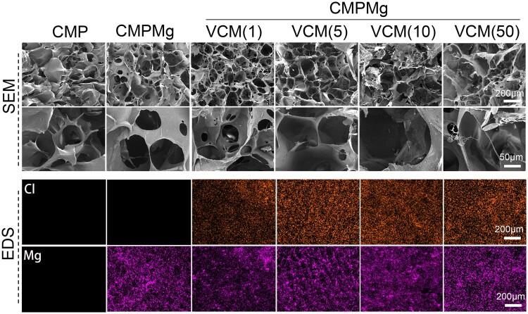 https://cdn.ncbi.nlm.nih.gov/pmc/blobs/f848/11196881/a3bf086cae82/rbae049f3.jpg