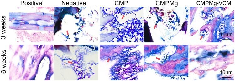 https://cdn.ncbi.nlm.nih.gov/pmc/blobs/f848/11196881/fa29d2ad1e32/rbae049f13.jpg