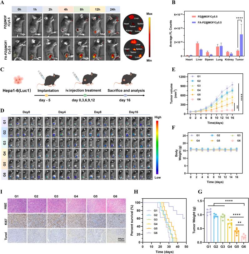 https://cdn.ncbi.nlm.nih.gov/pmc/blobs/f84a/12019074/601a9d72eb1b/gr4.jpg