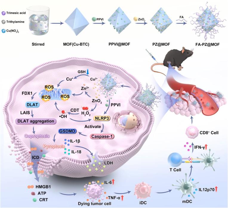 https://cdn.ncbi.nlm.nih.gov/pmc/blobs/f84a/12019074/7bdb9825bf92/sc1.jpg