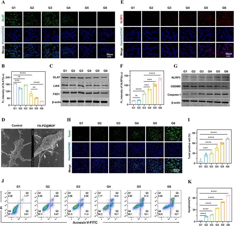 https://cdn.ncbi.nlm.nih.gov/pmc/blobs/f84a/12019074/e25044e39ee0/gr3.jpg
