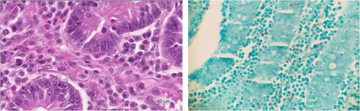 https://cdn.ncbi.nlm.nih.gov/pmc/blobs/f84b/12039145/404531ae3f9d/12917_2025_4765_Fig4_HTML.jpg