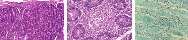 https://cdn.ncbi.nlm.nih.gov/pmc/blobs/f84b/12039145/de783c888a8e/12917_2025_4765_Fig5_HTML.jpg