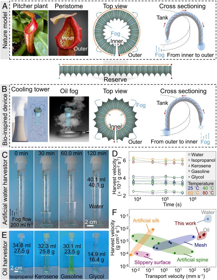 https://cdn.ncbi.nlm.nih.gov/pmc/blobs/f84b/7519342/f51b9384ffcf/pnas.2011935117fig04.jpg