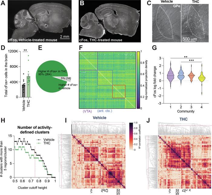https://cdn.ncbi.nlm.nih.gov/pmc/blobs/f84f/11914220/5ad63b941c29/41386_2024_2033_Fig3_HTML.jpg