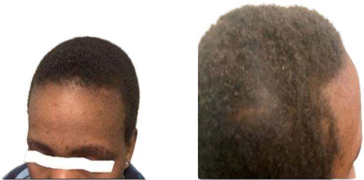 https://cdn.ncbi.nlm.nih.gov/pmc/blobs/f850/10986119/805cdf0e550f/12981_2024_603_Fig3_HTML.jpg