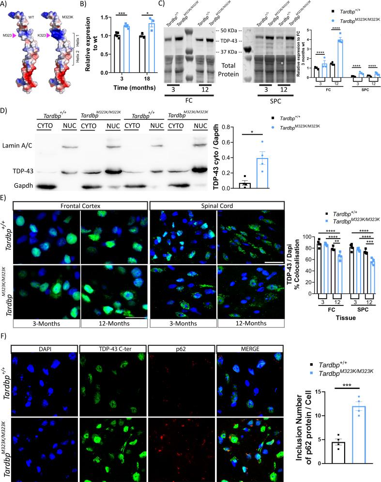 https://cdn.ncbi.nlm.nih.gov/pmc/blobs/f852/10988218/2d177629eba7/gr7.jpg