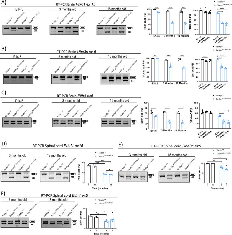 https://cdn.ncbi.nlm.nih.gov/pmc/blobs/f852/10988218/58112c44d94e/gr6.jpg