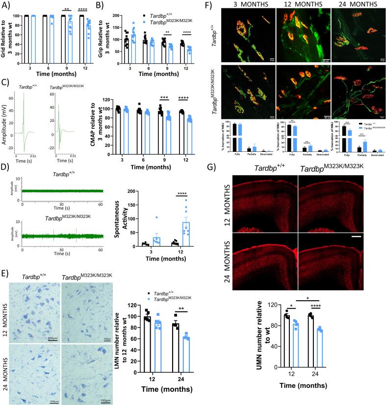 https://cdn.ncbi.nlm.nih.gov/pmc/blobs/f852/10988218/cf527c4fe463/gr5.jpg
