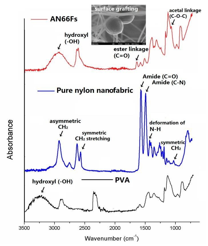 https://cdn.ncbi.nlm.nih.gov/pmc/blobs/f853/5535245/4877e505f020/nanomaterials-07-00179-g005.jpg