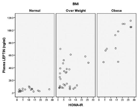 https://cdn.ncbi.nlm.nih.gov/pmc/blobs/f853/5590380/9bfd999ac94b/IJABMR-7-176-g005.jpg