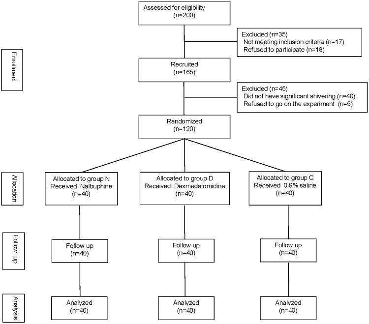 https://cdn.ncbi.nlm.nih.gov/pmc/blobs/f854/6753531/1ca59b0a61a5/10.1177_0300060519865063-fig1.jpg