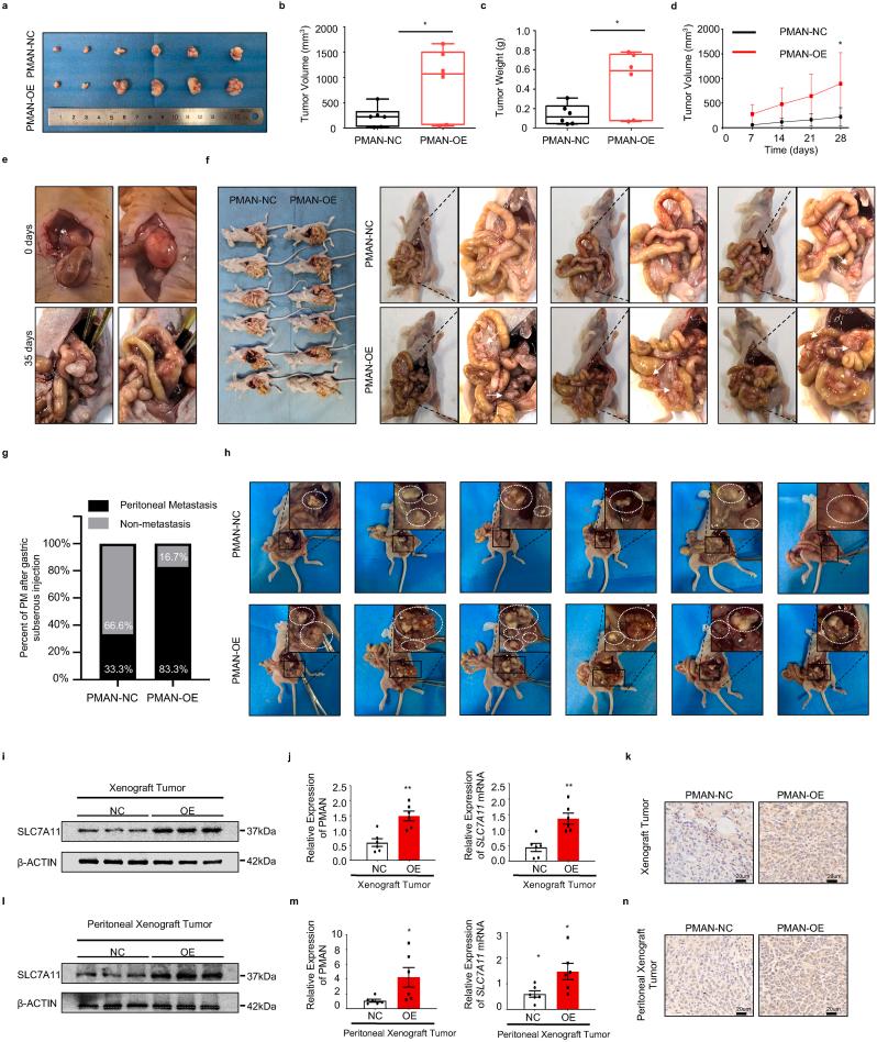https://cdn.ncbi.nlm.nih.gov/pmc/blobs/f854/9043498/24498b249ffa/gr8.jpg