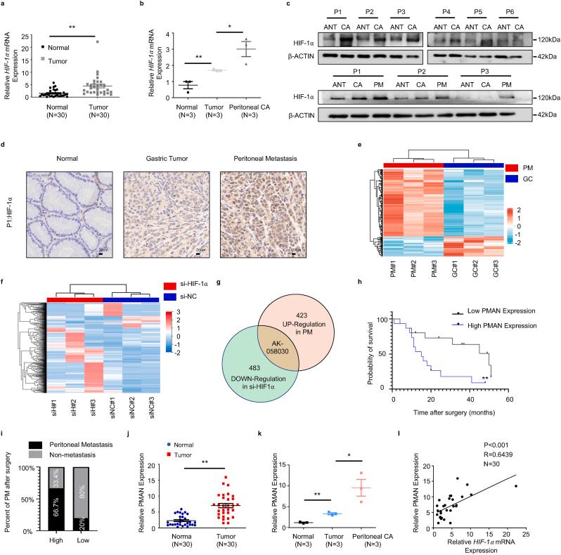 https://cdn.ncbi.nlm.nih.gov/pmc/blobs/f854/9043498/4d9e2f939362/gr1.jpg