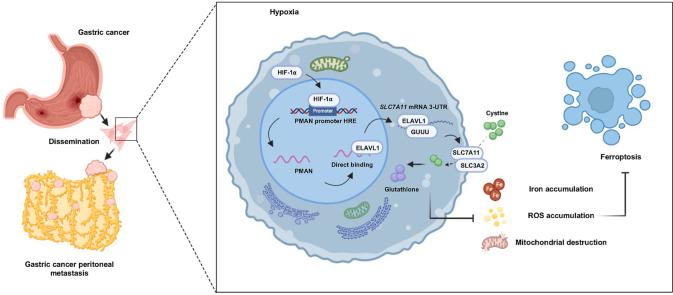https://cdn.ncbi.nlm.nih.gov/pmc/blobs/f854/9043498/95803b49ab45/ga1.jpg