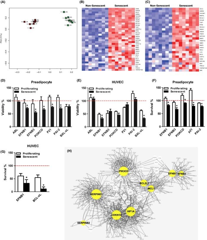 https://cdn.ncbi.nlm.nih.gov/pmc/blobs/f857/4531078/31c7cb4d2cb6/acel0014-0644-f1.jpg