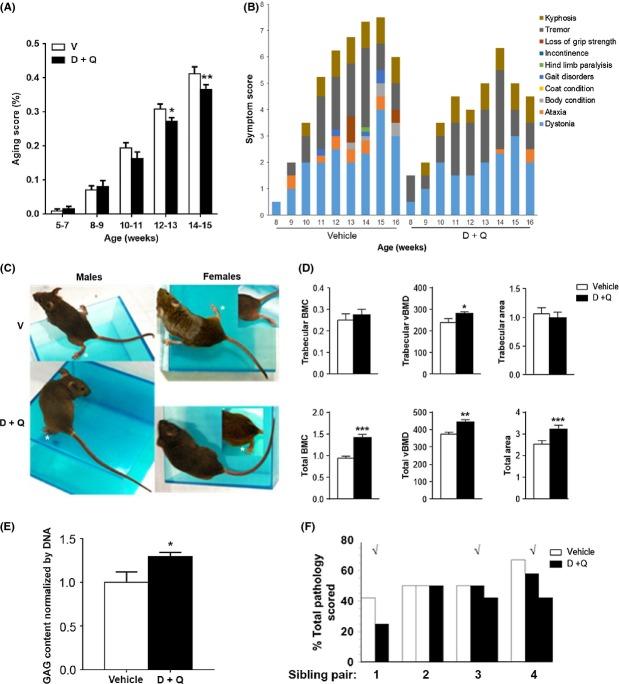 https://cdn.ncbi.nlm.nih.gov/pmc/blobs/f857/4531078/47aa5d29b181/acel0014-0644-f6.jpg