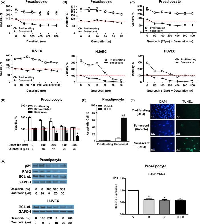 https://cdn.ncbi.nlm.nih.gov/pmc/blobs/f857/4531078/95dfc16a476e/acel0014-0644-f2.jpg