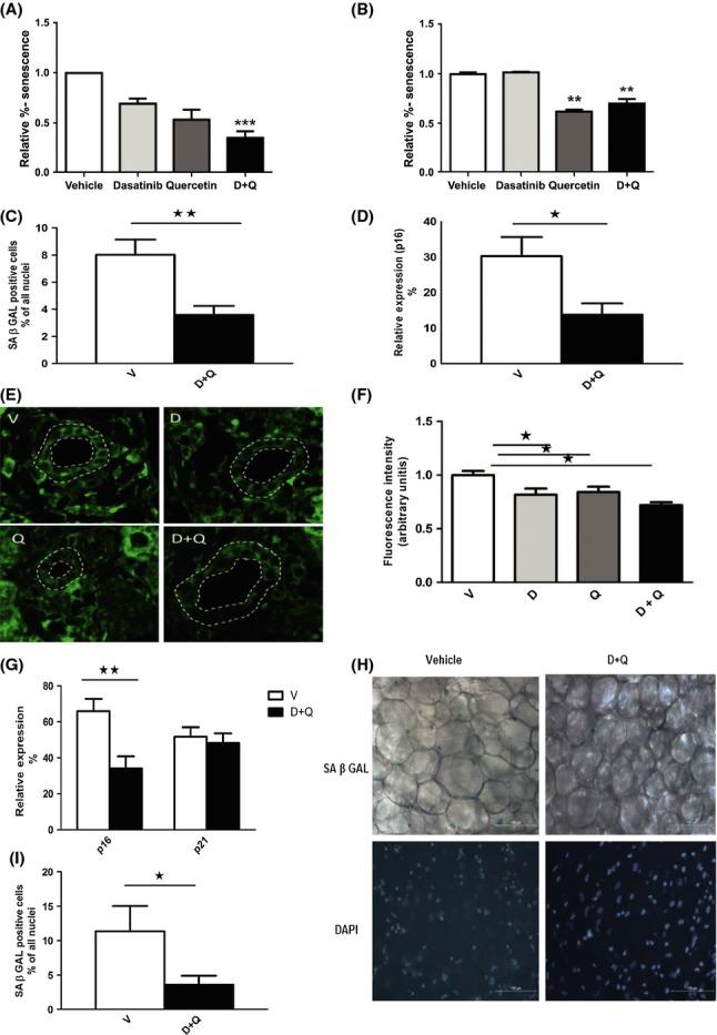https://cdn.ncbi.nlm.nih.gov/pmc/blobs/f857/4531078/ef6334f4f91a/acel0014-0644-f3.jpg