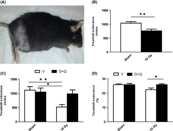 https://cdn.ncbi.nlm.nih.gov/pmc/blobs/f857/4531078/f5525a14d18a/acel0014-0644-f5.jpg