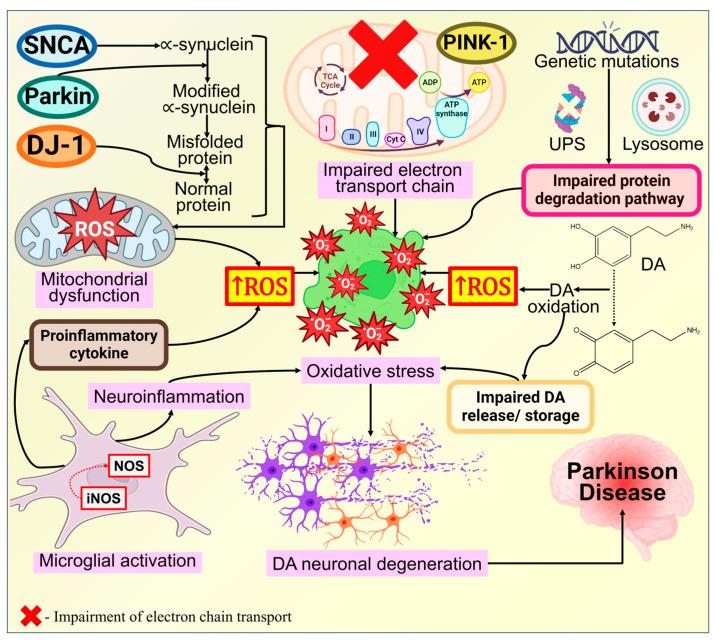 https://cdn.ncbi.nlm.nih.gov/pmc/blobs/f859/10813470/480c5fc608cc/biomolecules-14-00073-g013.jpg