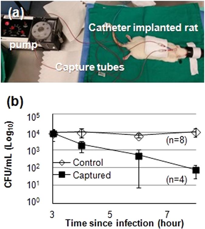 https://cdn.ncbi.nlm.nih.gov/pmc/blobs/f85a/5514083/b5fb6793144f/41598_2017_5854_Fig3_HTML.jpg