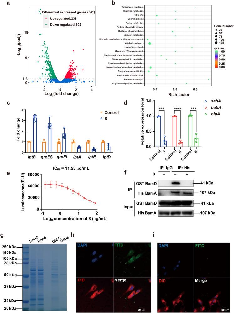 https://cdn.ncbi.nlm.nih.gov/pmc/blobs/f85b/11228022/238021bf6968/41392_2024_1895_Fig6_HTML.jpg