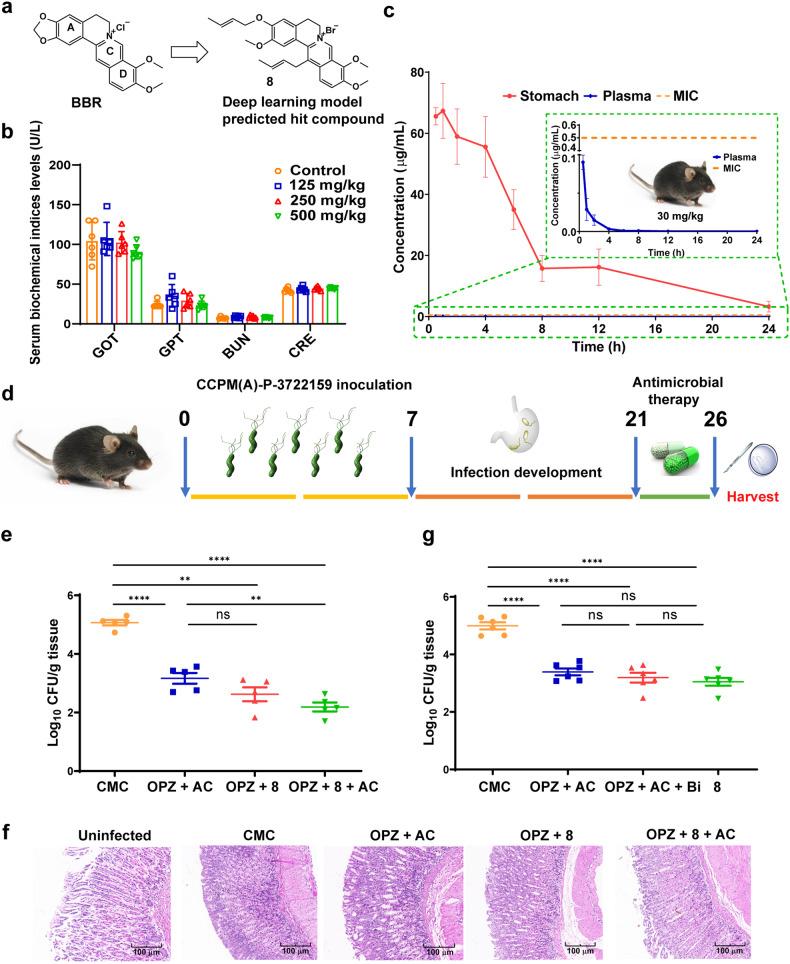 https://cdn.ncbi.nlm.nih.gov/pmc/blobs/f85b/11228022/3604f0a8f47d/41392_2024_1895_Fig2_HTML.jpg
