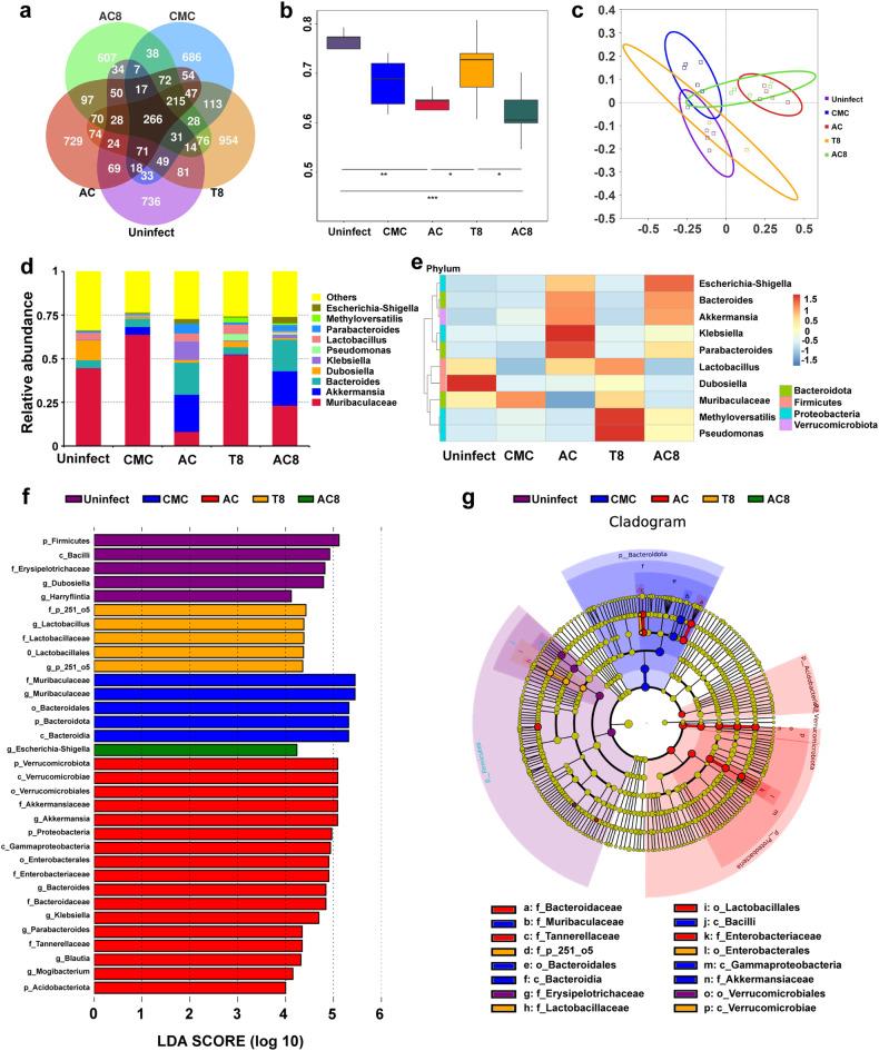 https://cdn.ncbi.nlm.nih.gov/pmc/blobs/f85b/11228022/38290ff74fec/41392_2024_1895_Fig3_HTML.jpg