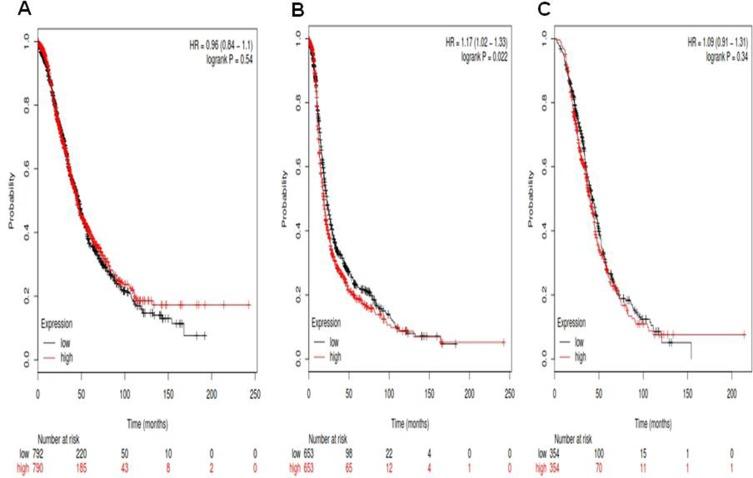 https://cdn.ncbi.nlm.nih.gov/pmc/blobs/f861/5464823/23d4060bcdc9/oncotarget-08-32731-g002.jpg